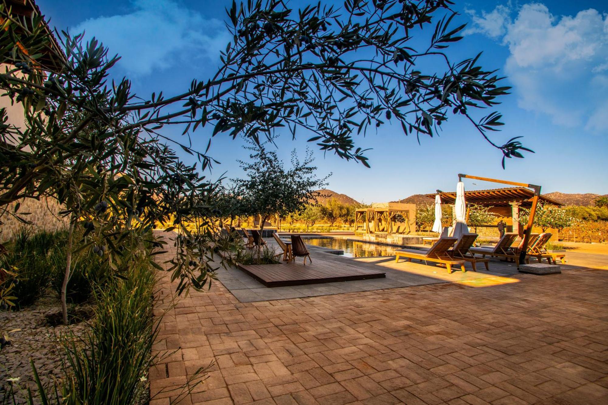 Hotel Flores De Sal-Valle De Guadalupe Exteriér fotografie