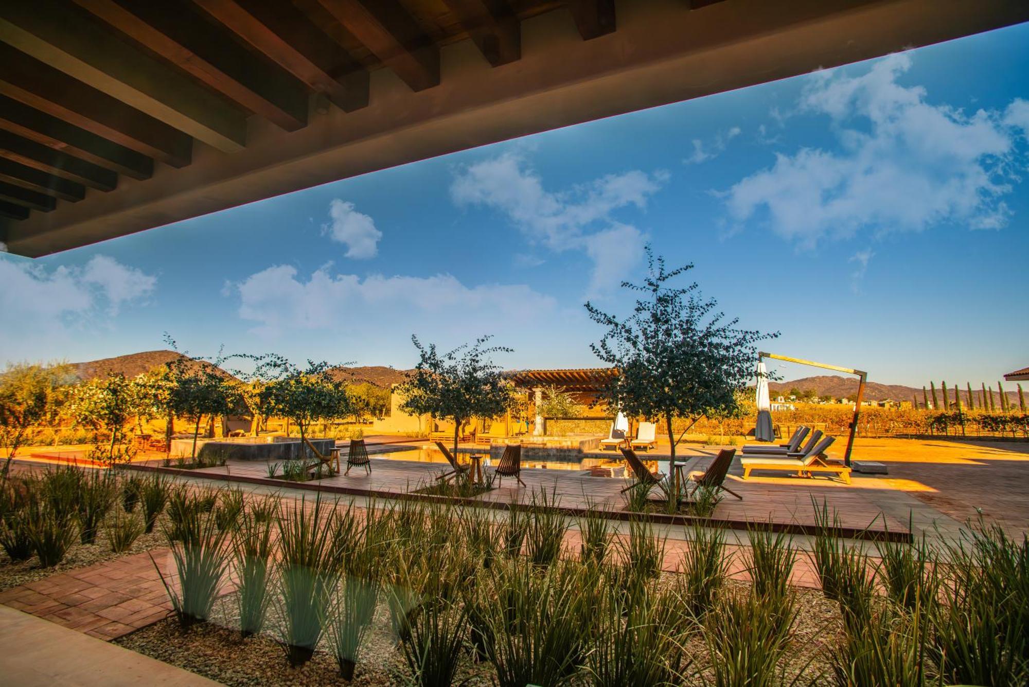 Hotel Flores De Sal-Valle De Guadalupe Exteriér fotografie