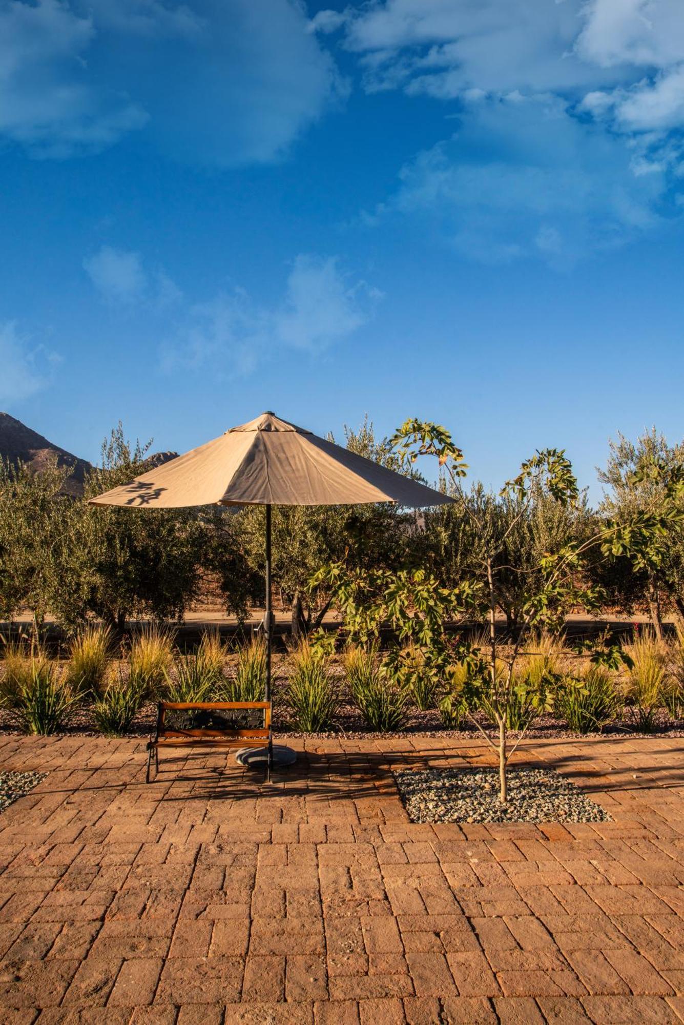 Hotel Flores De Sal-Valle De Guadalupe Exteriér fotografie