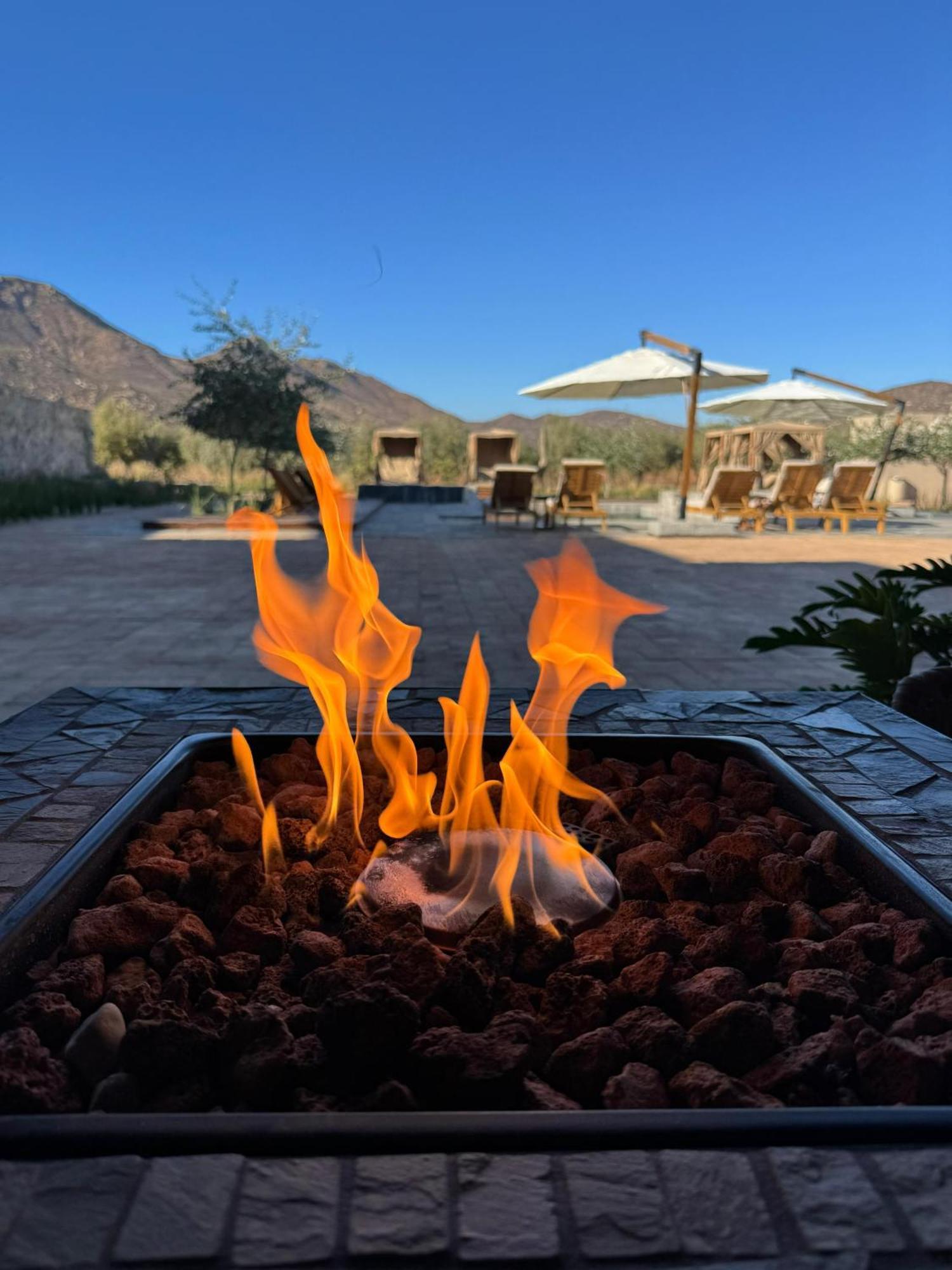 Hotel Flores De Sal-Valle De Guadalupe Exteriér fotografie